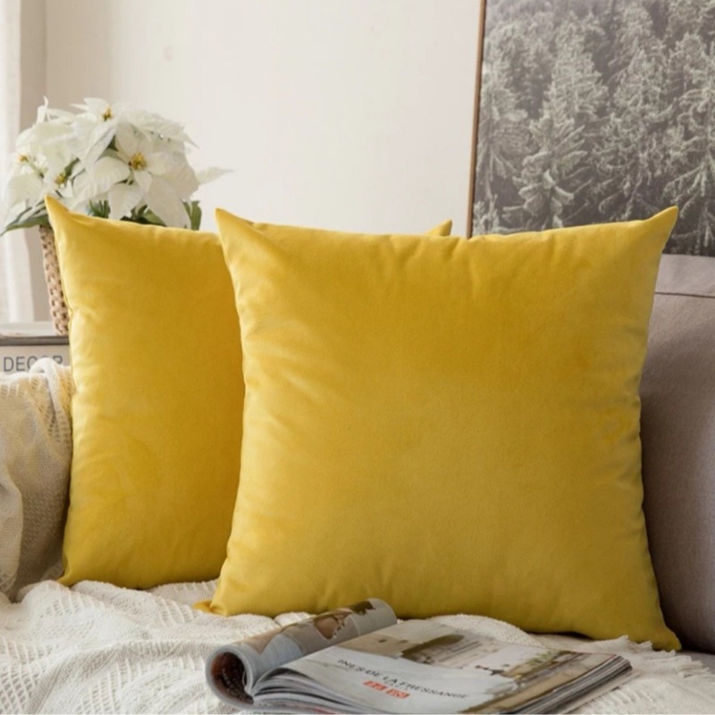 ปลอกเบาะรองนั่งรถยนต์ผ้ากำมะหย - Pillow Insert 18X18 บทวิจารณ์และราคา